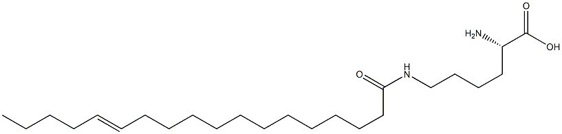 N6-(13-Octadecenoyl)lysine Struktur