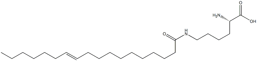 N6-(11-Octadecenoyl)lysine Struktur