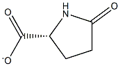 (5R)-2-Oxopyrrolidine-5-carboxylic acidanion Struktur