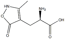 (R)-3-[(3-Methyl-2,5-dihydro-5-oxoisoxazol)-4-yl]-2-aminopropanoic acid Struktur