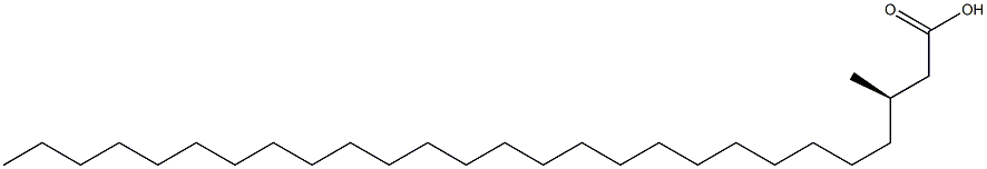 [R,(+)]-3-Methylheptacosanoic acid Struktur