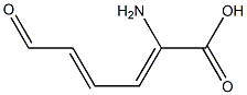 2-Amino-6-oxo-2,4-hexadienoic acid Struktur