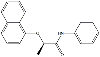 [R,(-)]-2-(1-Naphtyloxy)-N-phenylpropionamide Struktur