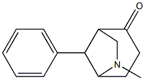 6-Methyl-2-oxo-8-phenyl-6-azabicyclo[3.2.1]octane Struktur