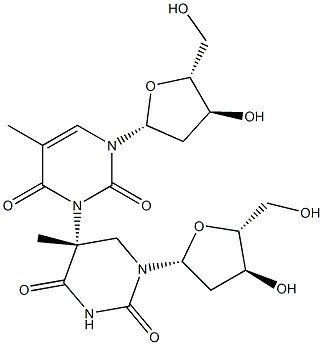 (5R)-5-(Thymidin-3-yl)-5,6-dihydrothymidine Struktur