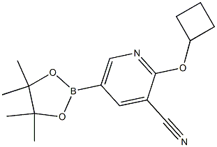 2-cyclobutoxy-5-(4,4,5,5-tetramethyl-1,3,2-dioxaborolan-2-yl)pyridine-3-carbonitrile Struktur