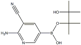 2-AMino-3-cyanopyridine-5-boronic acid pinacolester Struktur