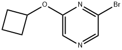 2-Bromo-6-(cyclobutoxy)pyrazine Struktur