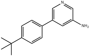 5-(4-TERT-BUTYLPHENYL)PYRIDIN-3-AMINE Structure