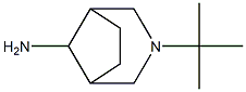 3-tert-butyl-3-azabicyclo[3.2.1]octan-8-amine Struktur