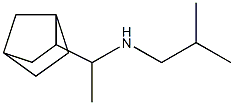 (1-{bicyclo[2.2.1]heptan-2-yl}ethyl)(2-methylpropyl)amine Struktur