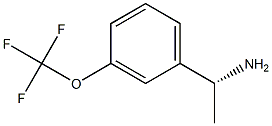 (1R)-1-[3-(TRIFLUOROMETHOXY)PHENYL]ETHYLAMINE Struktur