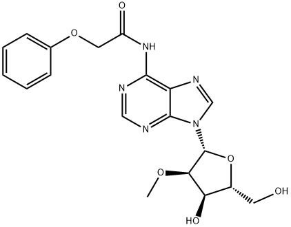 2'-O-Methyl-N6-phenoxyacetyladenosine Struktur