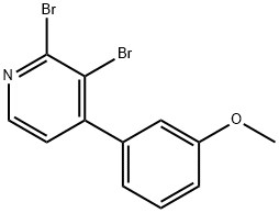 2,3-Dibromo-4-(3-methoxyphenyl)pyridine Struktur