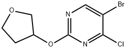 4-Chloro-5-bromo-2-(tetrahydrofuran-3-yloxy)pyrimidine Struktur