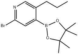 2-Bromo-5-(n-propyl)pyridine-4-boronic acid pinacol ester Struktur