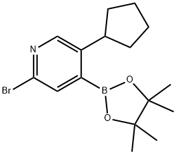 2-Bromo-5-cyclopentylpyridine-4-boronic acid pinacol ester Struktur