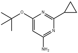 4-Amino-2-cyclopropyl-6-(tert-butoxy)pyrimidine Struktur