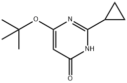 4-Hydroxy-2-cyclopropyl-6-(tert-butoxy)pyrimidine Struktur