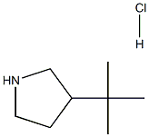 3-tert-butylpyrrolidine hydrochloride Struktur