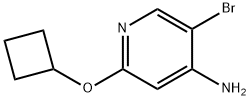 4-Amino-3-bromo-6-(cyclobutoxy)pyridine Struktur