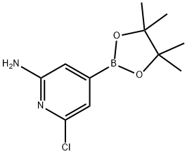 2-Amino-6-chloropyridine-4-boronic acid, pinacol ester Struktur