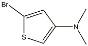 2-Bromo-4-(dimethylamino)thiophene Struktur