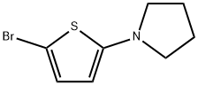 2-Bromo-5-(pyrrolidino)thiophene Struktur