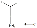 1,1-difluoro-2-methylpropan-2-amine hydrochloride Struktur