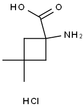 1-amino-3,3-dimethylcyclobutane-1-carboxylic acid hydrochloride Struktur