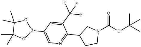 tert-butyl 3-(5-(4,4,5,5-tetramethyl-1,3,2-dioxaborolan-2-yl)-3-(trifluoromethyl)pyridin-2-yl)pyrrolidine-1-carboxylate Struktur