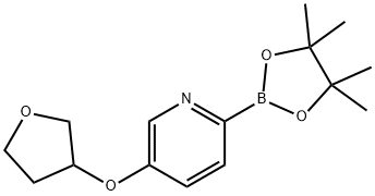 5-(Tetrahydrofuran-3-yloxy)pyridine-2-boronic acid pinacol ester Struktur