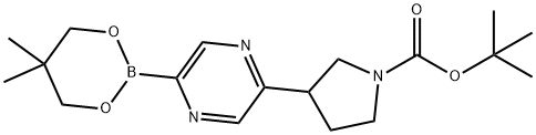 5-(N-Boc-Pyrrolidin-3-yl)pyrazine-2-boronic acid neopentylglycol ester Struktur