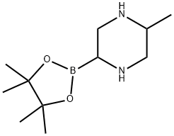 5-Methylpiperazine-2-boronic acid pinacol ester Struktur