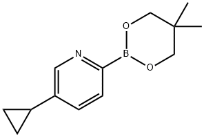 5-Cyclopropylpyridine-2-boronic acid neopentylglycol ester Struktur