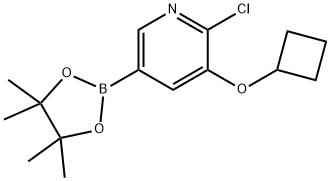 6-Chloro-5-(cyclobutoxy)pyridine-3-boronic acid pinacol ester Struktur