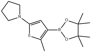 2-Methyl-5-(pyrrolidino)thiophene-3-boronic acid pinacol ester Struktur