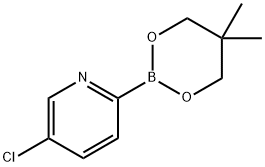 5-Chloropyridine-2-boronic acid neopentylglycol ester Struktur