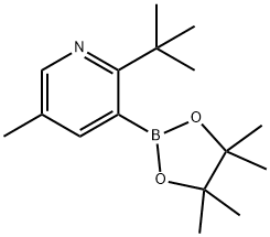 5-Methyl-2-(tert-butyl)pyridine-3-boronic acid pinacol ester Struktur