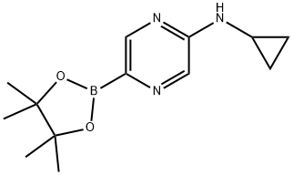 5-(Cyclopropylamino)pyrazine-2-boronic acid pinacol ester Struktur