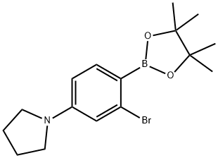 2-Bromo-4-(pyrrolidino)phenylboronic acid pinacol ester Struktur