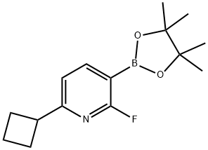 2-Fluoro-6-(cyclobutyl)pyridine-3-boronic acid pinacol ester Struktur