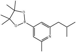 2-Methyl-6-(iso-butyl)pyridine-4-boronic acid pinacol ester Struktur