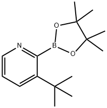 3-(tert-Butyl)pyridine-2-boronic acid pinacol ester Struktur