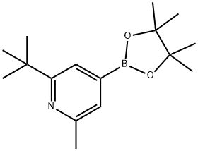 2-(tert-butyl)-6-methyl-4-(4,4,5,5-tetramethyl-1,3,2-dioxaborolan-2-yl)pyridine Struktur