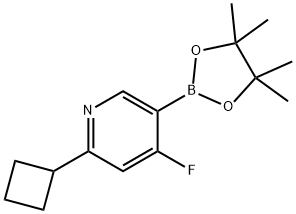 2-cyclobutyl-4-fluoro-5-(4,4,5,5-tetramethyl-1,3,2-dioxaborolan-2-yl)pyridine Struktur