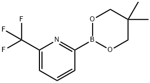 6-Trifluoromethylpyridine-2-boronic acid neopentylglycol ester Struktur