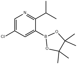 2-(iso-Propyl)-5-chloropyridine-3-boronic acid pinacol ester Struktur