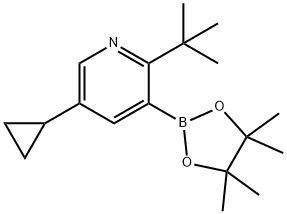 2-(tert-Butyl)-5-cyclopropylpyridine-3-boronic acid pinacol ester Struktur