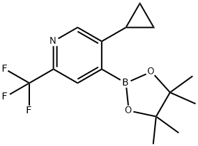 5-Cyclopropyl-2-trifluoromethylpyridine-4-boronic acid pinacol ester Struktur